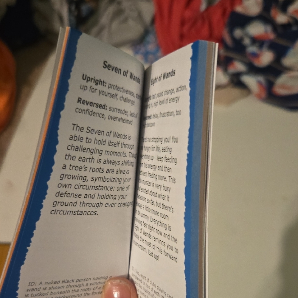 Deck of the Odd Tarot and Guidebook - Picture 5 of 6